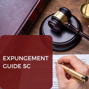 1 expungement guide in south carolina, Father, fathers, Father365, fatherhood program in South Carolina, help for dads, jobs for dads, training for dads,