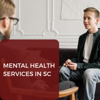13 Mental health services in sc, Father and his child, Father365, fatherhood program in South Carolina, help for dads