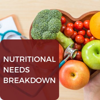 5 nutritional needs breakdown, Father and his child, Father365, fatherhood program in South Carolina, help for dads