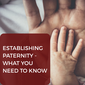 7 establishing paternity, Father, fathers, Father365, fatherhood program in South Carolina, help for dads, jobs for dads, training for dads,